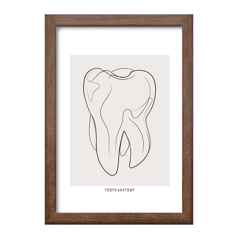 تابلو خندالو طرح آناتومی دندان (Tooth Anatomy) کد F13936