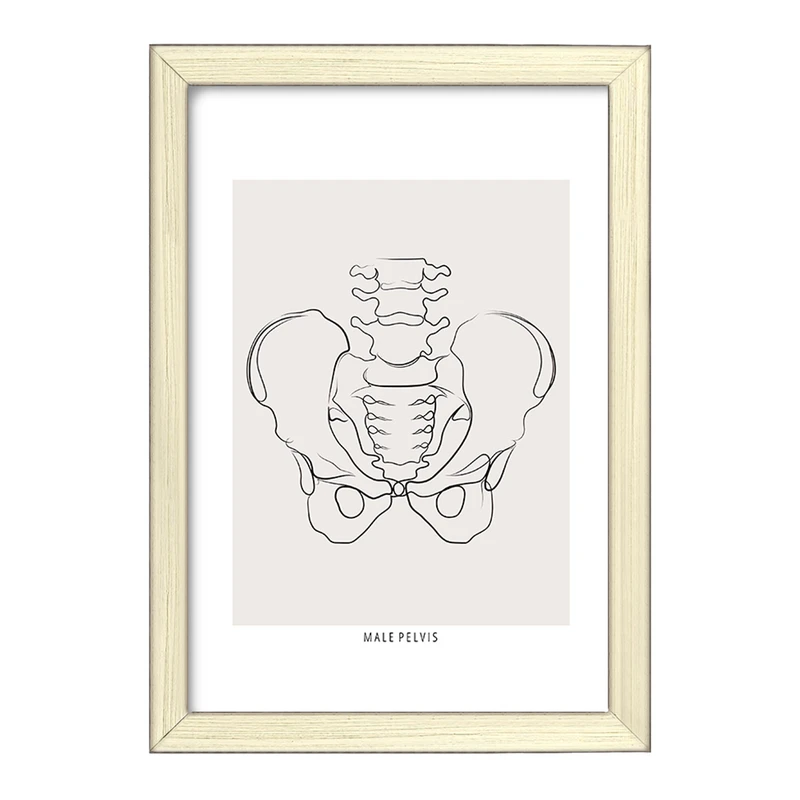 تابلو خندالو طرح آناتومی لگن (Pelvis Anatomy) کد F13912