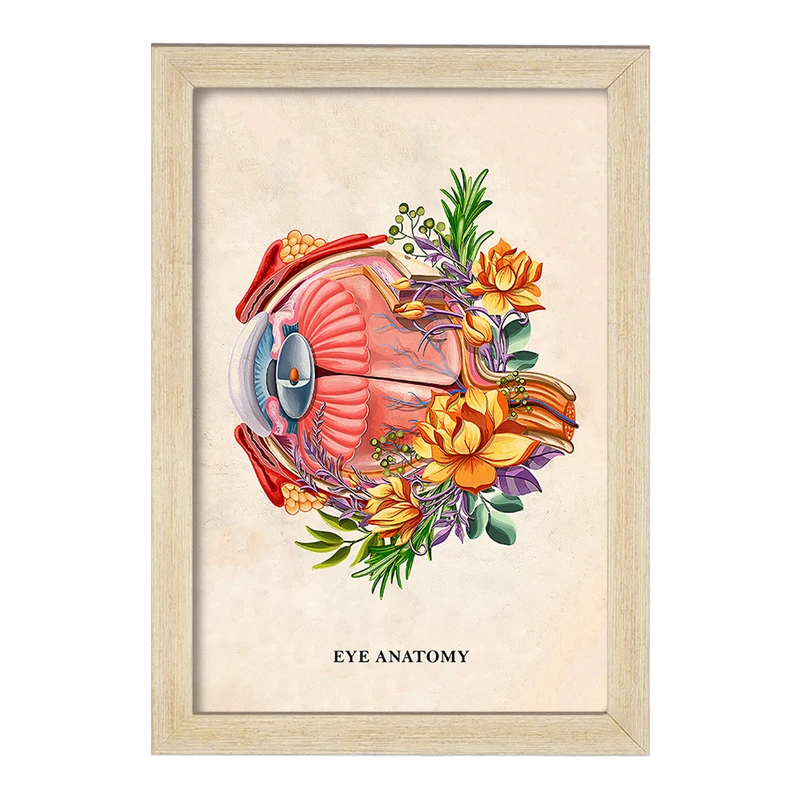 تابلو خندالو طرح آناتومی چشم (Eye Anatomy) کد F14014