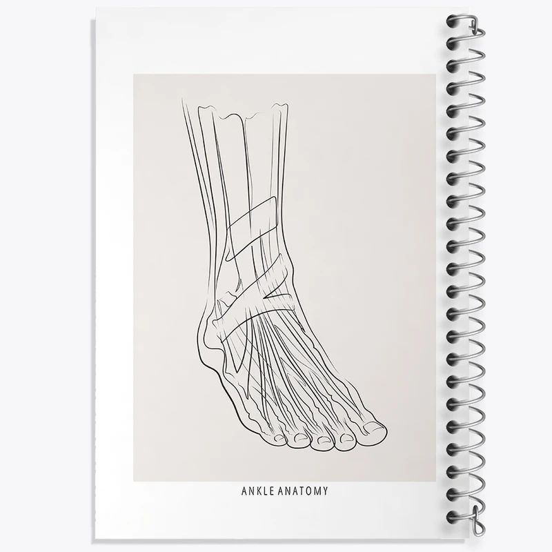 دفتر لیست خرید 50 برگ خندالو طرح آناتومی مچ پا (Ankle Anatomy) کد F13926