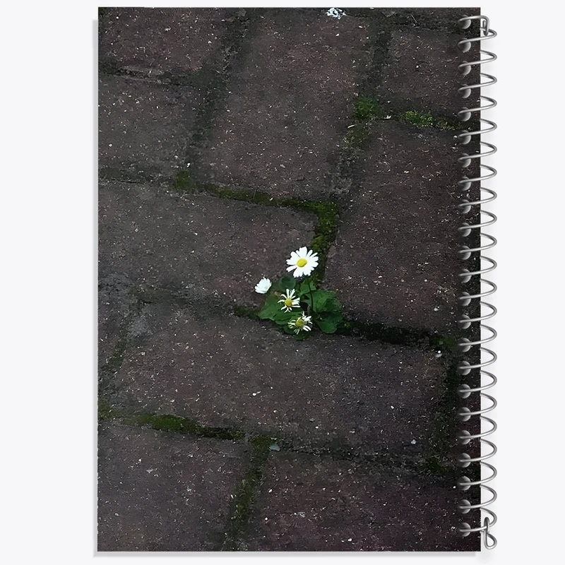 دفتر طراحی 50 برگ خندالو طرح گل کد F1371