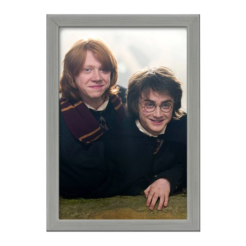 تابلو خندالو طرح هری و رون هری پاتر Harry Potter  کد 19350