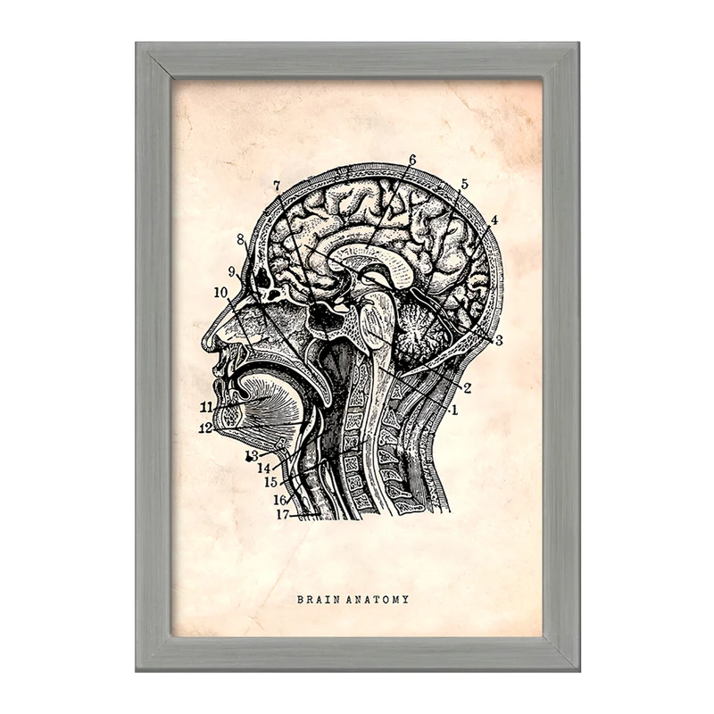 تابلو خندالو طرح آناتومی مغز (Brain Anatomy) کد F13947