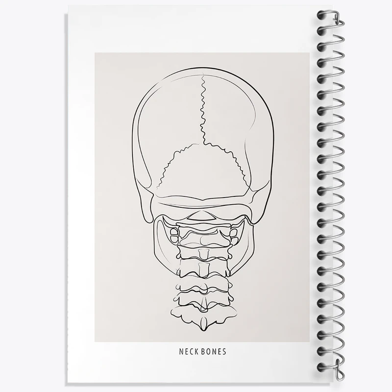 دفتر مشق 50 برگ خندالو طرح آناتومی اسکلت سر از پشت کد F13895