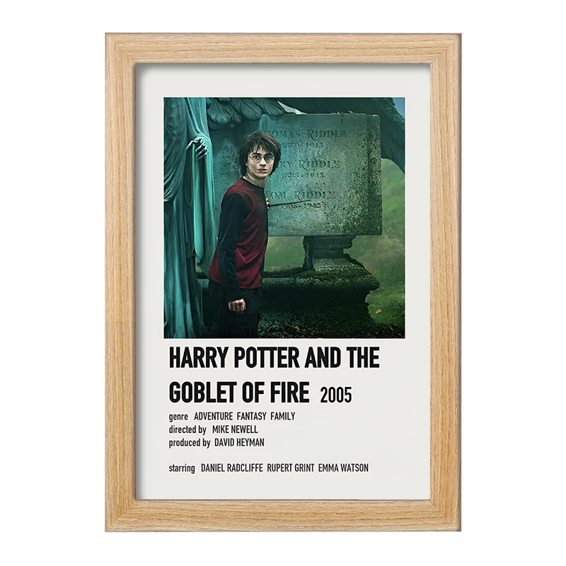 تابلو خندالو طرح هری پاتر (Harry Potter) کد F13405