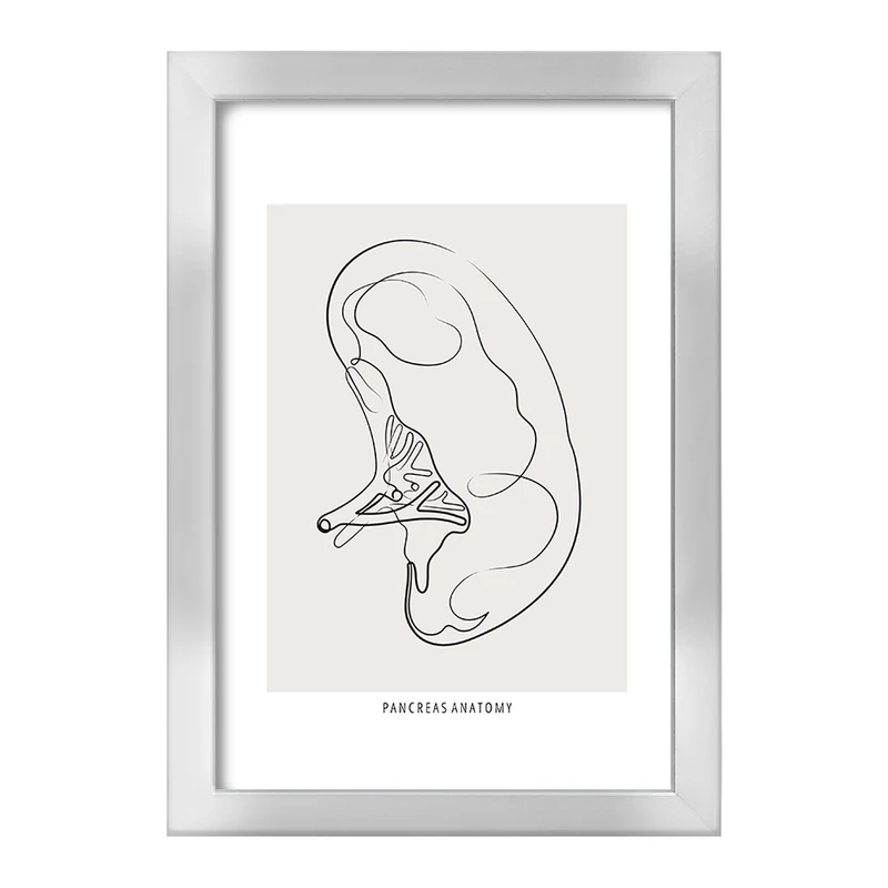 تابلو خندالو طرح آناتومی پانکراس (Pancreas Anatomy) کد F13902