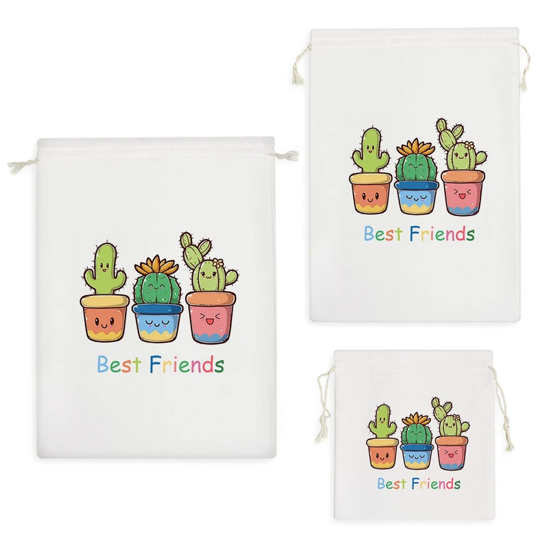 نظم دهنده خندالو مدل کاکتوس کد 2346 مجموعه 3 عددی