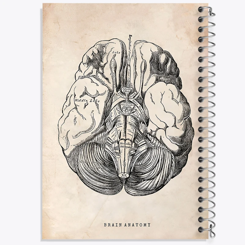 دفتر مشق 50 برگ خندالو طرح آناتومی مغز (Brain Anatomy) کد F13945