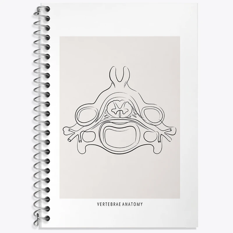 دفتر نت موسیقی 50 برگ خندالو طرح آناتومی مهره ها (Vertebrae Anatomy) کد F13905