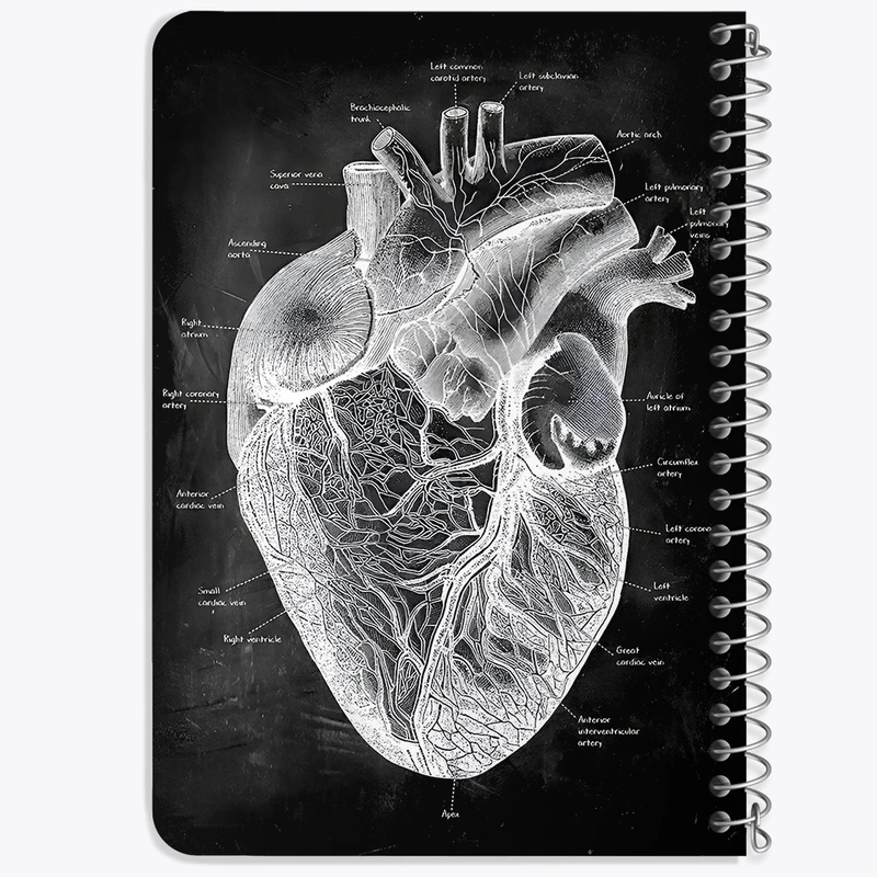 دفتر یادداشت 50 برگ خندالو طرح آناتومی قلب (Heart Anatomy) کد F13956