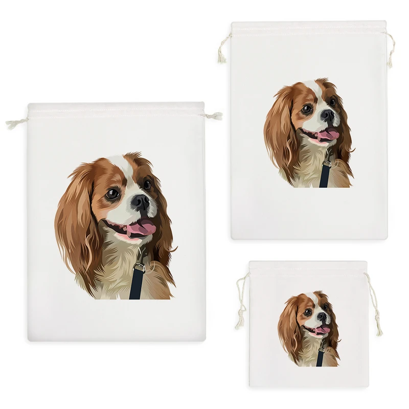 نظم دهنده خندالو مدل سگ نژاد کاوالیر کد 2898 مجموعه 3 عددی