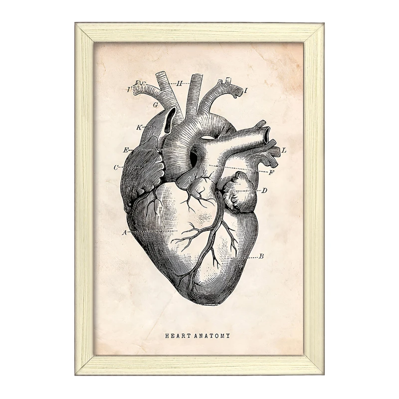 تابلو خندالو طرح آناتومی قلب (Heart Anatomy) کد F13940