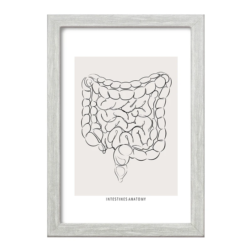 تابلو خندالو طرح آناتومی روده (Intestines Anatomy) کد F13933