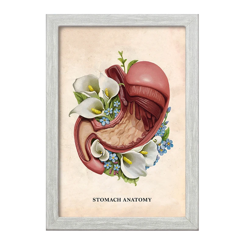 تابلو خندالو طرح آناتومی معده (Stomach Anatomy) کد F14009