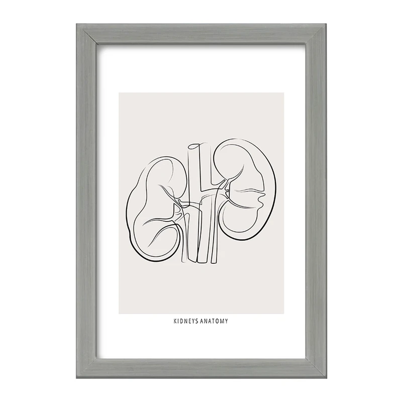 تابلو خندالو طرح آناتومی کلیه ها (kidneys Anatomy) کد F13901