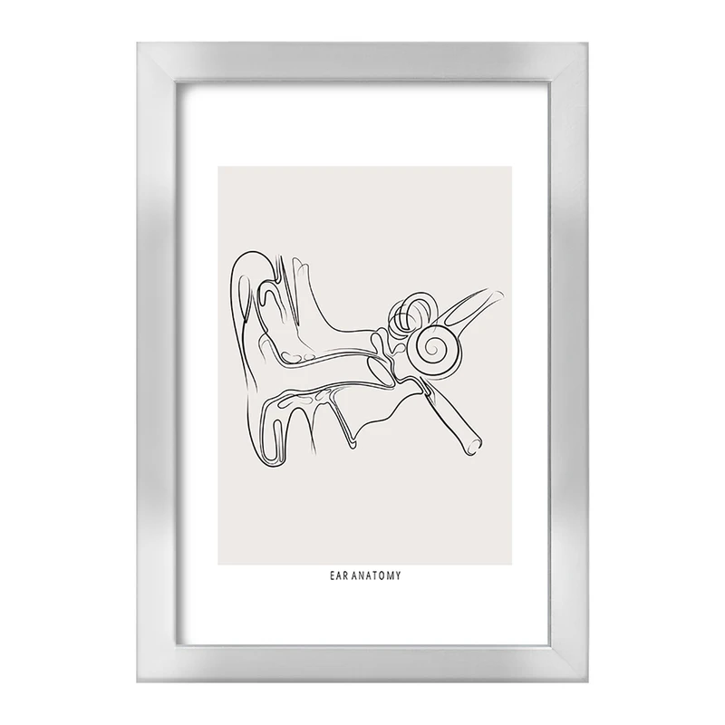 تابلو خندالو طرح آناتومی گوش (Ear Anatomy) کد F13932