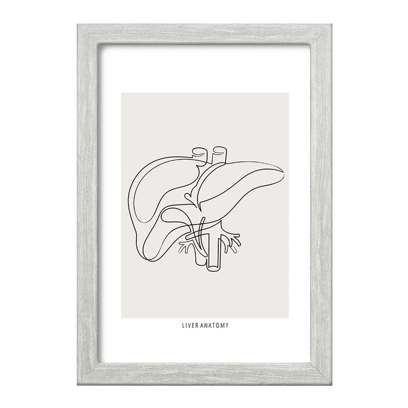 تابلو خندالو طرح آناتومی کبد (Liver anatomy) کد F13900