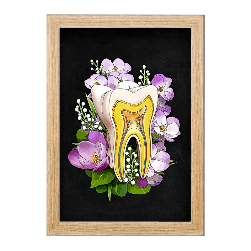 تابلو خندالو طرح آناتومی دندان (Tooth Anatomy) کد F14047