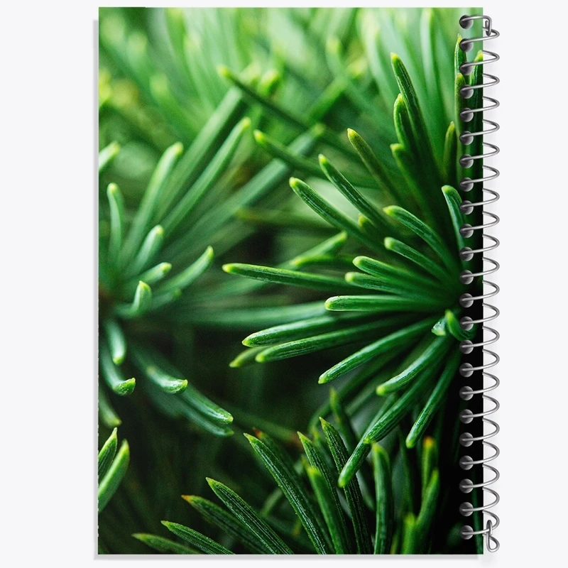 دفتر طراحی 50 برگ خندالو طرح کاج کد F1434