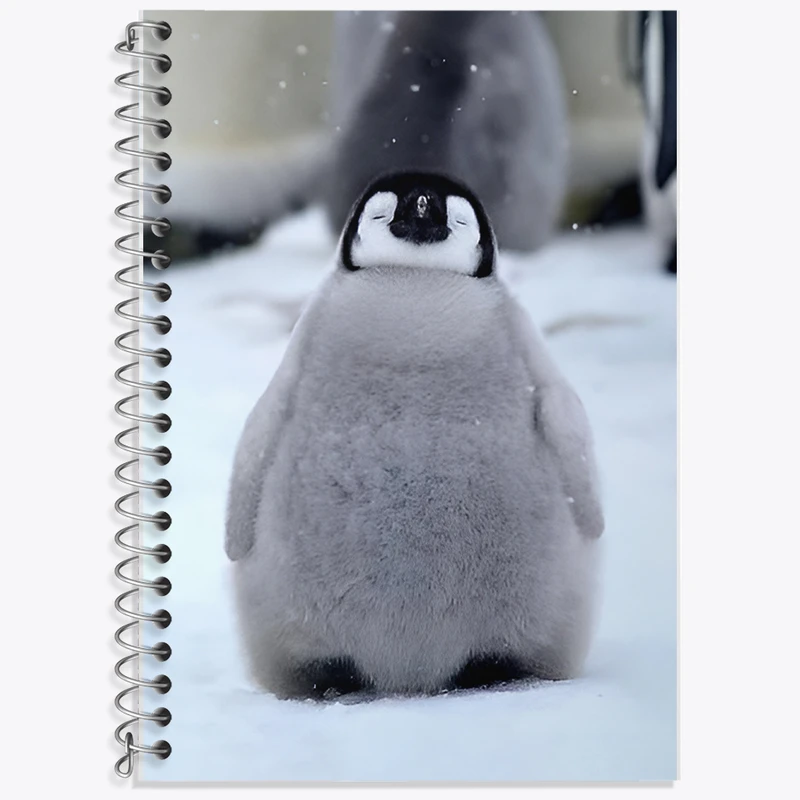 دفتر نت موسیقی 50 برگ خندالو طرح پنگوئن کد F11104