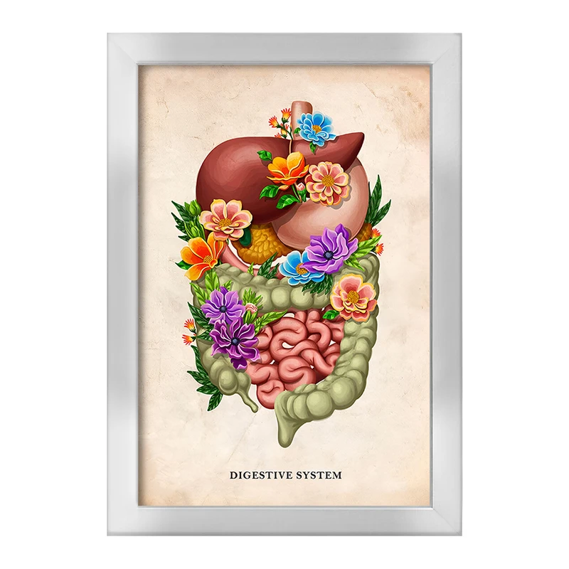 تابلو خندالو طرح سیستم گوارش (Digestive System) کد F13971