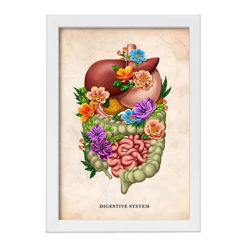 تابلو خندالو طرح سیستم گوارش (Digestive System) کد F13971