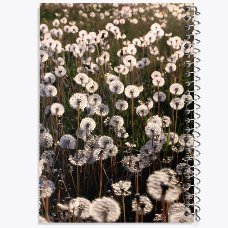 دفتر نقاشی 50 برگ خندالو طرح پترن قاصدک کد N7648