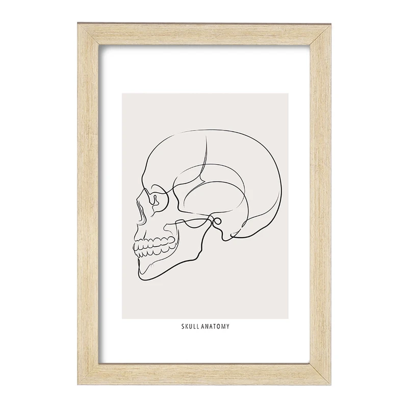 تابلو خندالو طرح آناتومی اسکلت سر از نیم رخ کد F13894