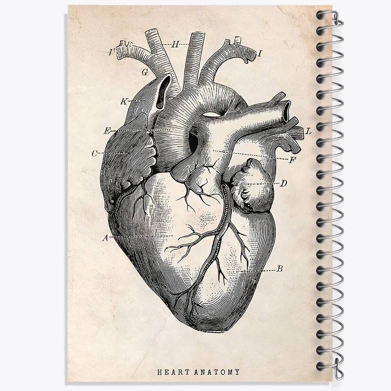 دفتر لیست خرید 50 برگ خندالو طرح آناتومی قلب (Heart Anatomy) کد F13940