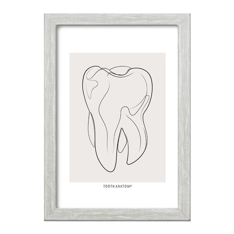 تابلو خندالو طرح آناتومی دندان (Tooth Anatomy) کد F13936