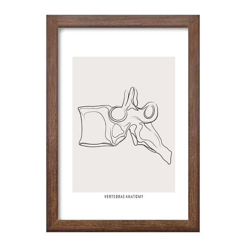تابلو خندالو طرح آناتومی مهره ها (Vertebrae Anatomy) کد F13911
