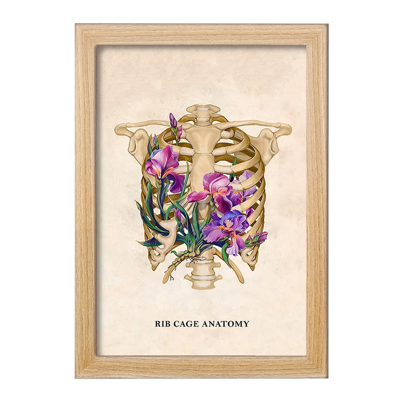 تابلو خندالو طرح آناتومی قفسه سینه (Rib Cage Anatomy) کد F14029