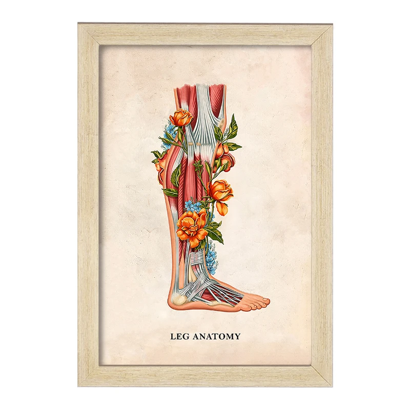 تابلو خندالو طرح آناتومی پا (Foot Anatomy کد F14015