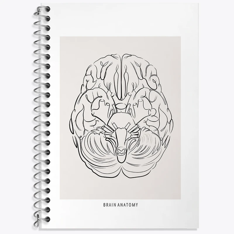 دفتر لغت 50 برگ خندالو طرح آناتومی مغز (Brain Anatomy) کد F13890