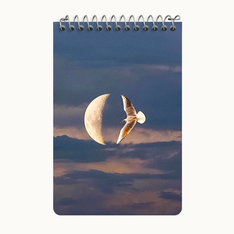 دفتر یادداشت 50 برگ خندالو طرح ماه و پرنده کد F8872