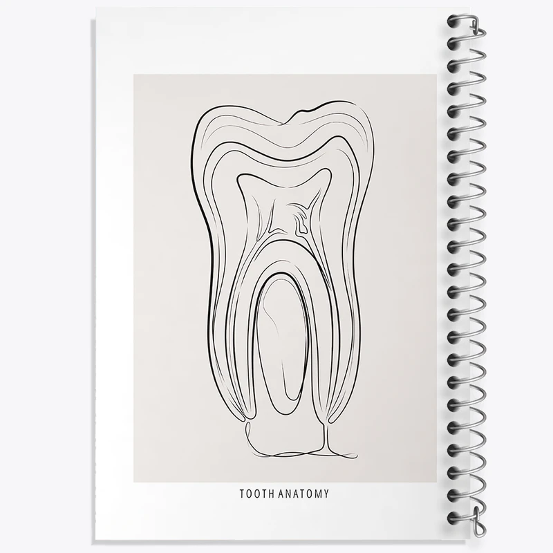 دفتر نقاشی 50 برگ خندالو طرح آناتومی دندان (Tooth Anatomy) کد F13937