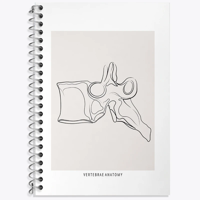 دفتر زبان دوخط 50 برگ خندالو طرح آناتومی مهره ها (Vertebrae Anatomy) کد F13911