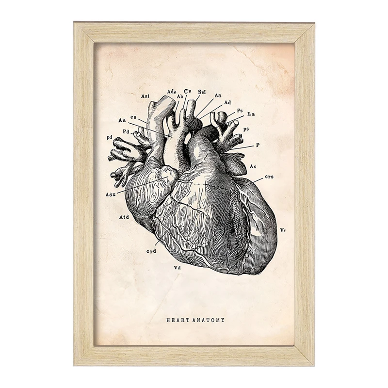 تابلو خندالو طرح آناتومی قلب (Heart Anatomy) کد F13942
