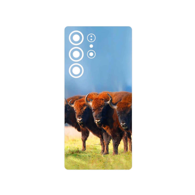 برچسب پوششی ماهوت مدل Buffalo مناسب برای گوشی موبایل سامسونگ Galaxy S25 Ultra