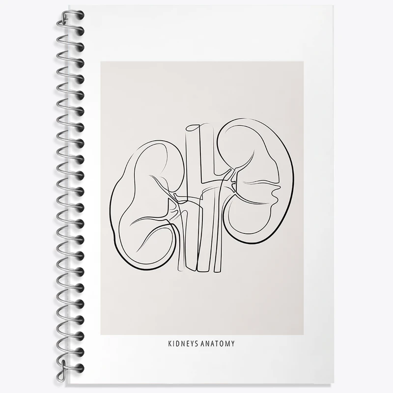 دفتر زبان دوخط 50 برگ خندالو طرح آناتومی کلیه ها (kidneys Anatomy) کد F13901