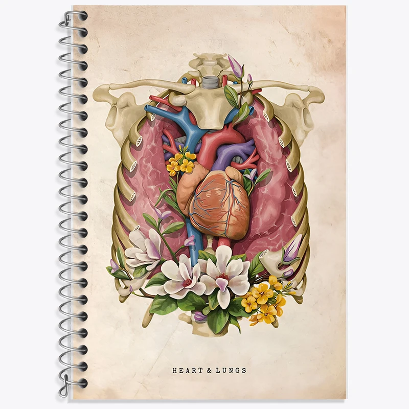 دفتر نت موسیقی 50 برگ خندالو طرح قلب و ریه‌ ها (Heart And Lungs) کد F13966