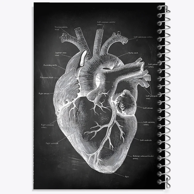 دفتر شطرنجی 50 برگ خندالو طرح آناتومی قلب (Heart Anatomy) کد F13957