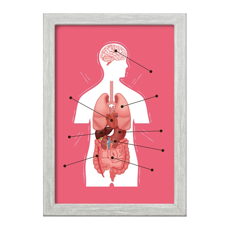 تابلو خندالو طرح ماکت بدن انسان کد F1703