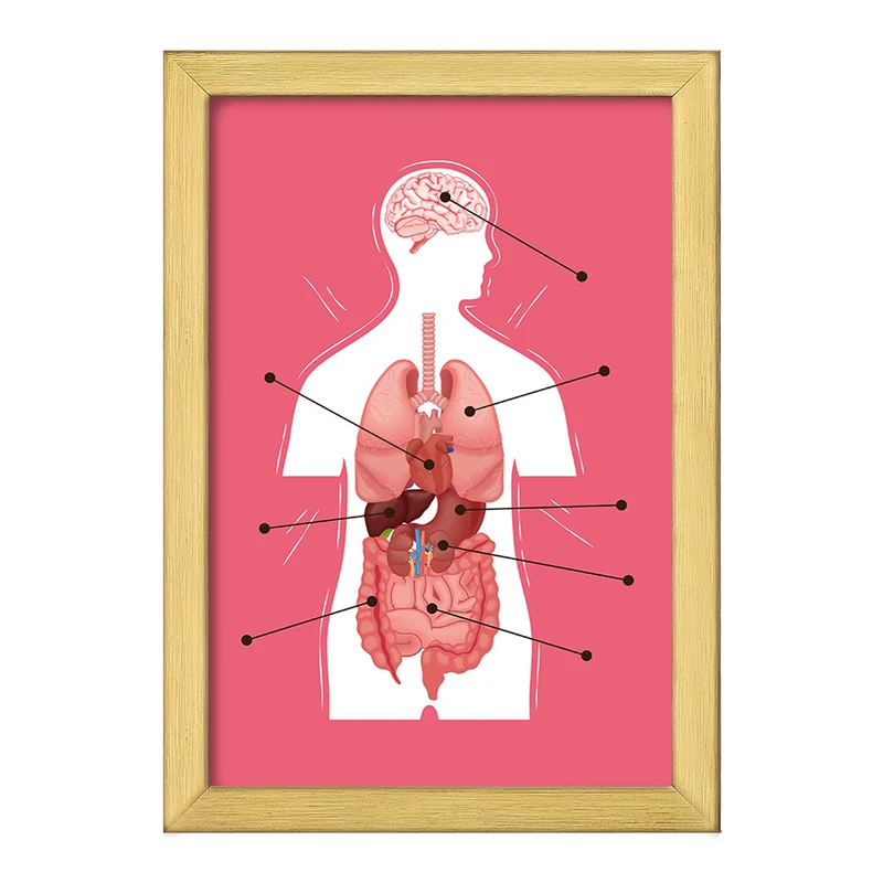 تابلو خندالو طرح ماکت بدن انسان کد F1703