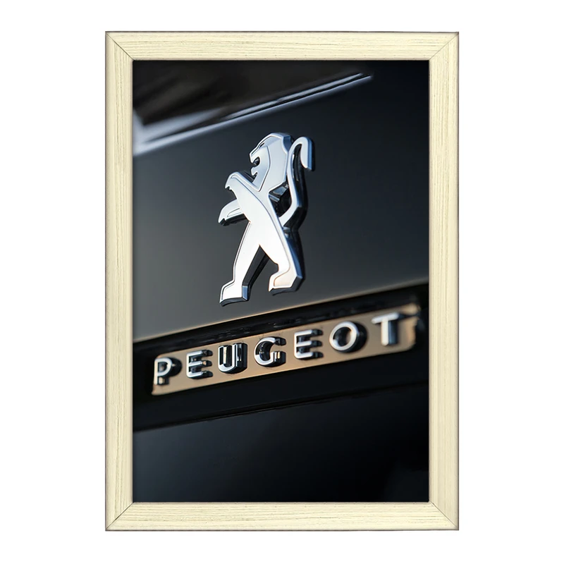 تابلو خندالو طرح پژو Peugeot  کد 23649