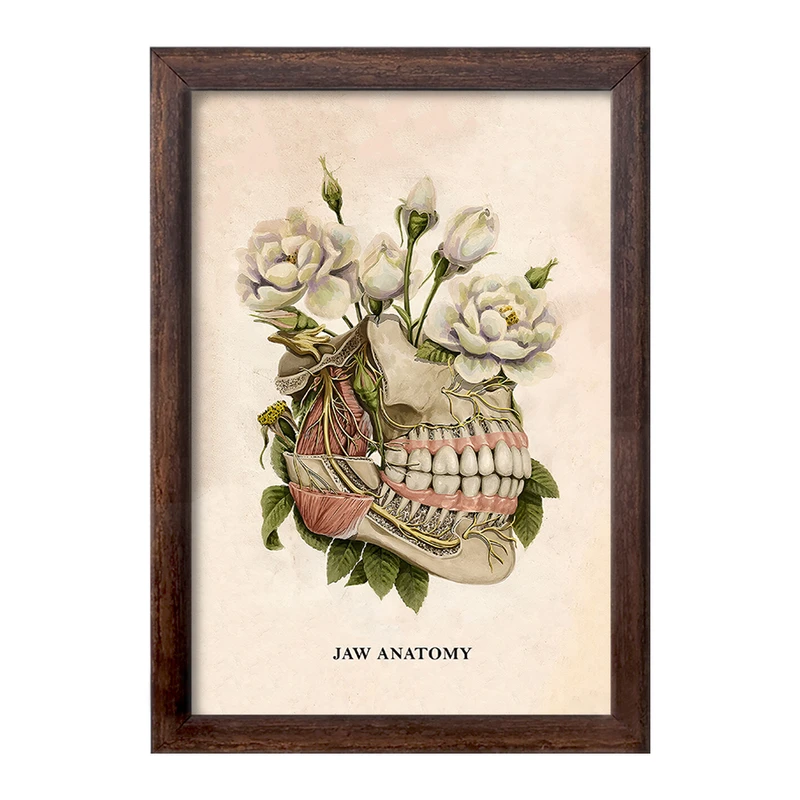 تابلو خندالو طرح آناتومی فک (Jaw Anatomy) کد F14026