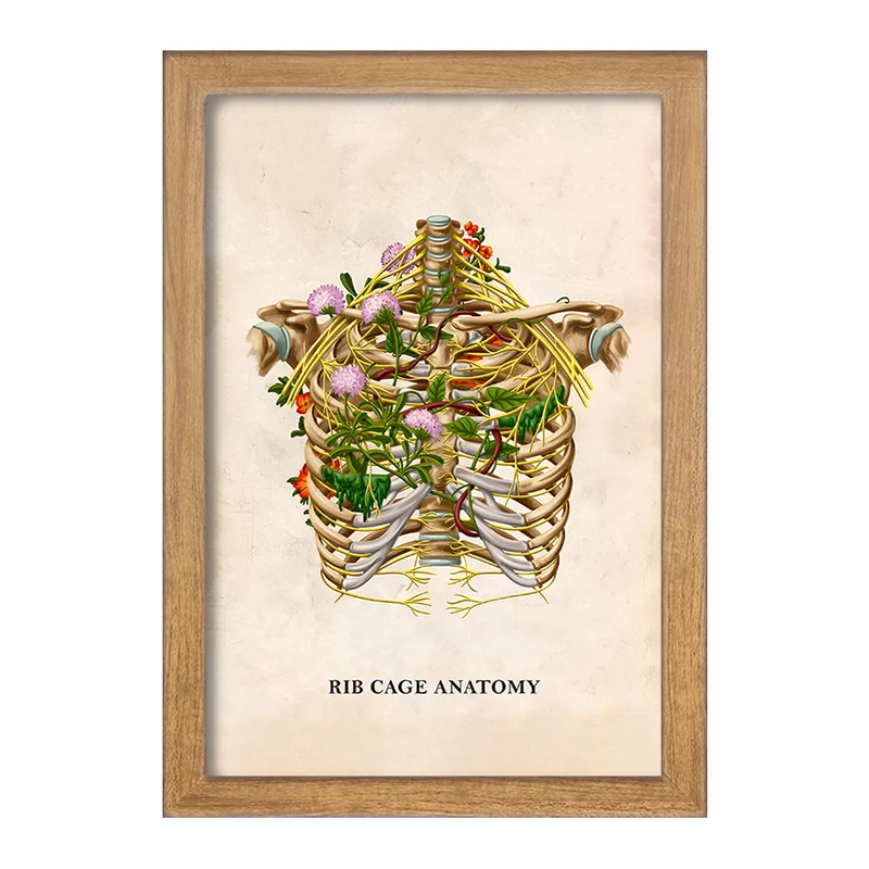 تابلو خندالو طرح آناتومی قفسه سینه (Rib Cage Anatomy) کد F13995