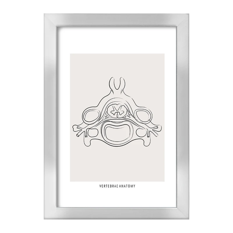 تابلو خندالو طرح آناتومی مهره ها (Vertebrae Anatomy) کد F13905