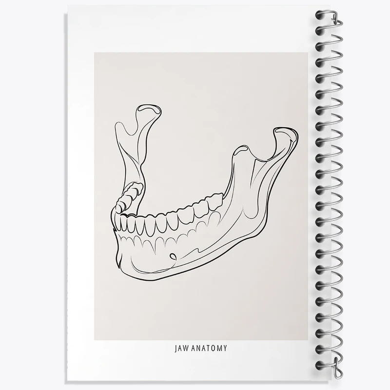 دفتر مشق 100 برگ خندالو طرح آناتومی فک (Jaw Anatomy) کد F13939