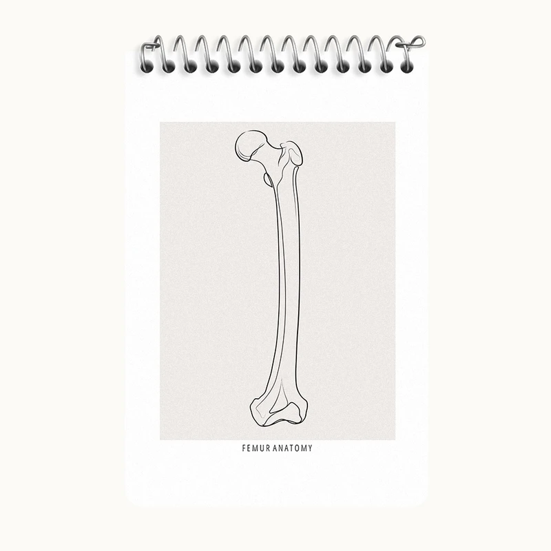 دفتر یادداشت 50 برگ خندالو طرح آناتومی استخوان ران (Femur Anatomy) کد F13917
